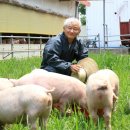 돼지와 함께 한 40년……고급 식당 열어 돼지 품격 올리고 이미지