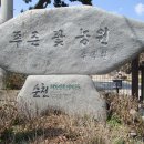 푸른꽃농원 - 고양시 일산동구 식사로 3 | 푸른꽃농원