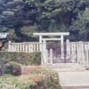 화신문화