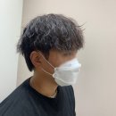 올드스캣 이미지