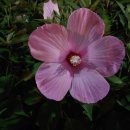 반월공원 화장실 이미지