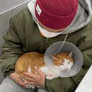 반곡동 작은동물병원 이미지