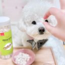 주식회사 포파코 | 폴리파크 | 네츄럴알래스카 먹태큐브 🐟