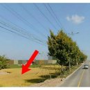 강화도전문공인중개사사무소 이미지