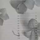 북시곡 네이버블로그