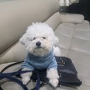 덕원골프 네이버블로그