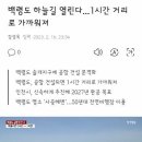 2023010 이미지