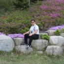 입면초등학교 이미지