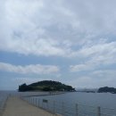 [김서정의 숲과 쉼]‘예술의 섬’ 여수 장도에서 생각해본 자연과 예술 이미지
