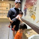 양평곤충박물관 이미지