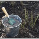 광천상사 이미지