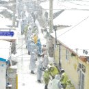 태양마을영농조합법인 이미지