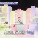 라라젤라또