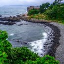 파도초장 이미지