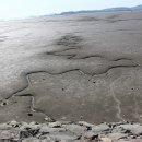 제중당약국 이미지