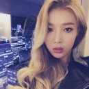 더미모 이미지