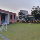 한동리브로콜리 이미지