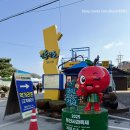 임계사통팔달시장 | 강원도 11월 주말 축제 정선사과축제 다녀온 후기