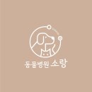 엘동물병원 | 이달의 동물병원 &#39;판교 소랑동물병원&#39;