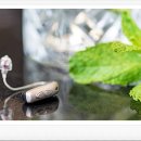 다음보청기 이미지