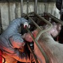 임실농장 이미지