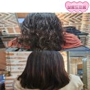 지아 애견샵 | 시세이도 이용하여 크리닉 해주는 민락동 미용실 살롱드프롬 (내 돈 내산)