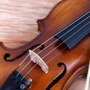 153셀라음악학원 이미지