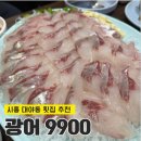 회광어9900 | [시흥] 시흥 대야동 횟집 추천 '광어9900' | 신선한 회와 푸짐한 서비스, 내돈내산 후기