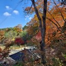 복골농장 이미지