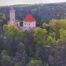 숲에 머물다 이미지