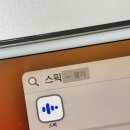 스픽 프리미엄 플러스 내돈내산 후기 프리미엄 차이 할인 링크 포함