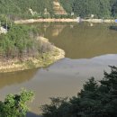 솔향태권도 이미지