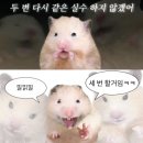 락휴코인노래연습장송파 이미지
