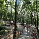 바라산자연휴양림 이미지