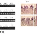 구강농산