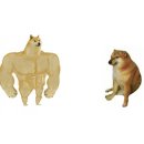 크로스핏베어 이미지