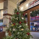 단토리 | [단토리] 청주 이자카야 충북대 술집 단토리 후기