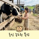 김용선 농장 | 용인 농도원 목장 아기랑 가을철 가봐야할 이색체험 장소 추천(예약성공팁)
