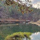 전주 평화동 맏내제 순환산책로에 왔어요