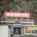 성심농장 이미지