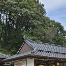 하마종합기획 | [2025.09.21-30] 일기