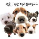 (주)좋은비타민 이미지