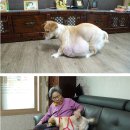 봉희농장 이미지