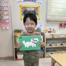 조물조물 이미지