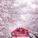 능내역사문화공원[능내-6] 이미지