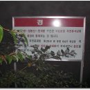 최돈광 네이버블로그