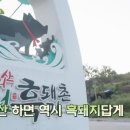 ‘삼시세끼’ 차승원·유해진 홀린 함양 흑돼지는 ‘지리산 감도니’ 이미지