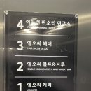 엘오씨헤어 이미지