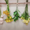 참힐링한의원 이미지