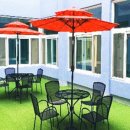 카르펫디엠 강아지유치원 이미지